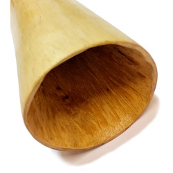 Dhapa Ganambarr Fis - G