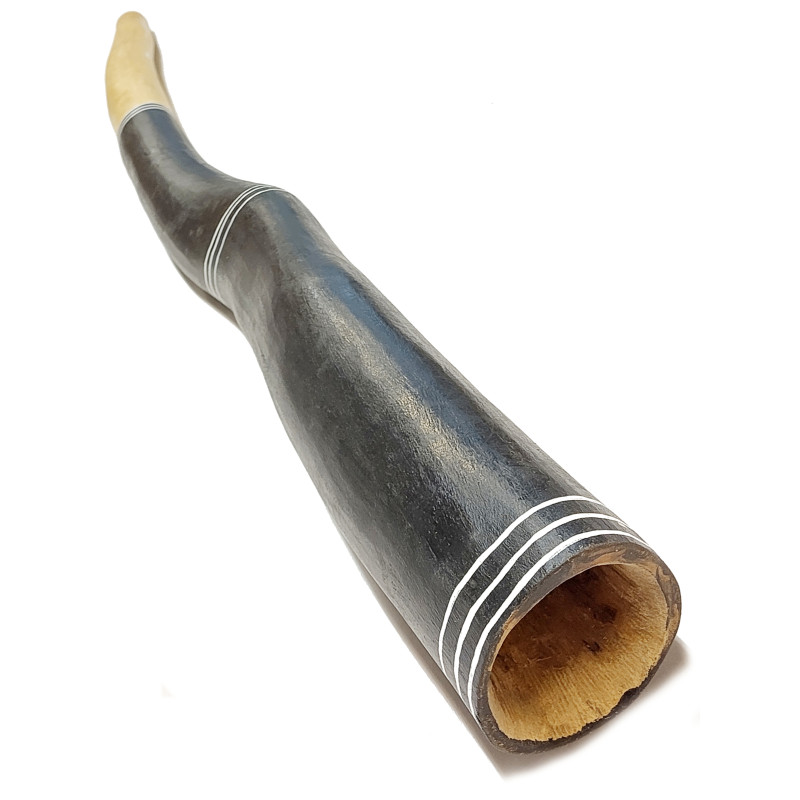 Dhapa Ganambarr Dis - F