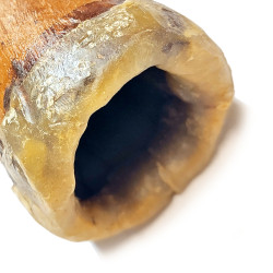 Vintage mago by Roger Yillirama E - A